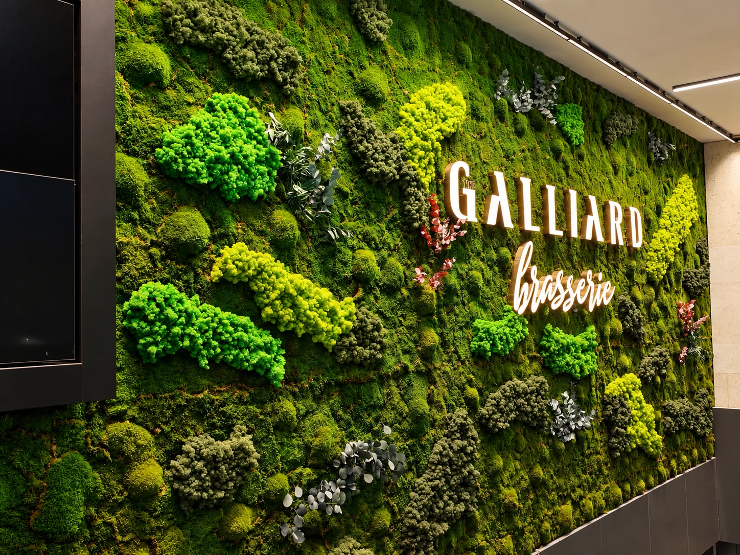 Galliard Brasserie · Ticari Mekânlarda Canlı Yosun Duvar Tabela. Marka kimliğini yansıtan, şık yosun duvarları ve biyofilik tasarımlarla ticari mekânlara değer katıyoruz.